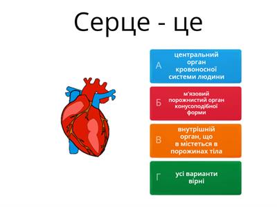 Біология: Органи кровообігу. Серце