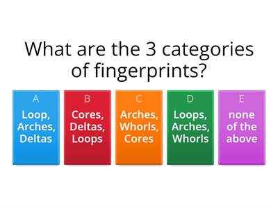 Fingerprint Quiz