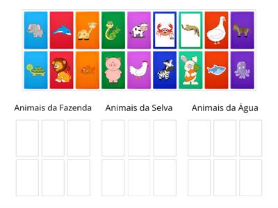 Classificação dos animais