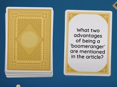 Boomerang Generation - Checking Understanding