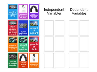 Independent and Dependent Variables Practice