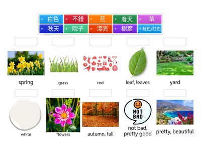 學華語向前走 Book2-L5 生字配對