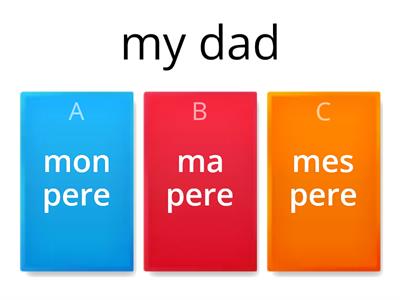 French- Possessive Adjectives