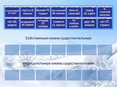 Собственные и нарицательные имена существительные. 