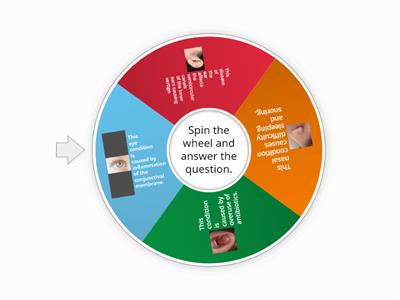 Sensory System 