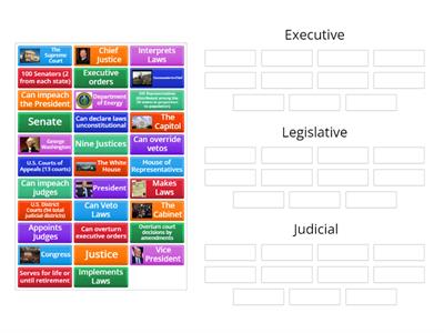 Separation of Powers Review (U.S. Branches of Government) 