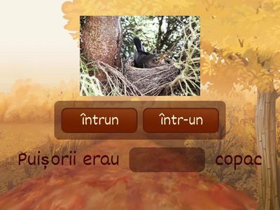 Scrierea corectă a cuvintelor într-o/într-un