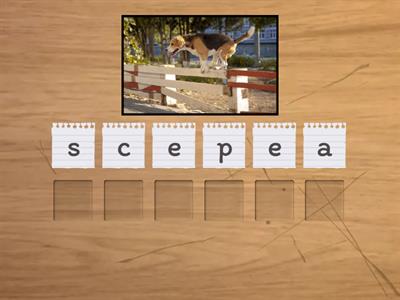 2 syllable split digraphs