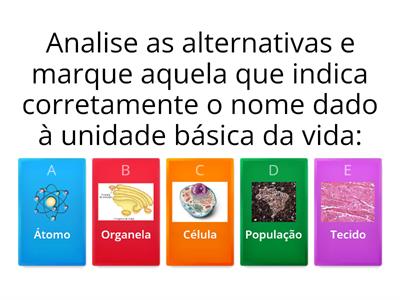 CÉLULA, TECIDO, ORGÃO E SISTEMA