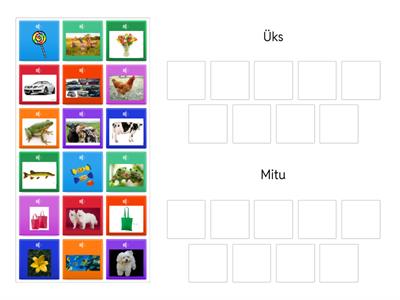 Nimisõna ainsus ja mitmus