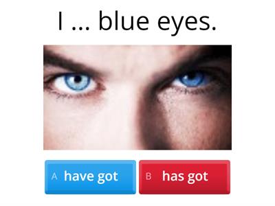 Have got / has got 