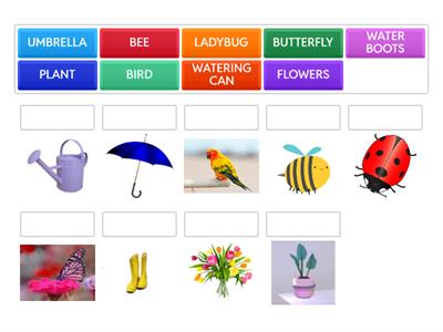 SPRING VOCABULARY
