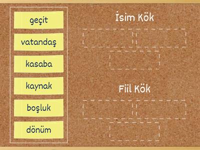 İsim ve Fiil Kökleri