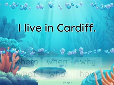 What is the question word?