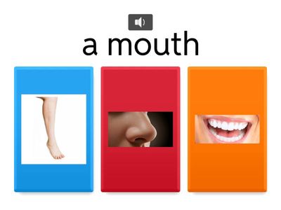 PRE-STARTERS Body parts