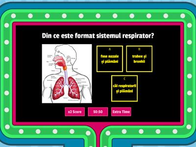  Sistemul respirator