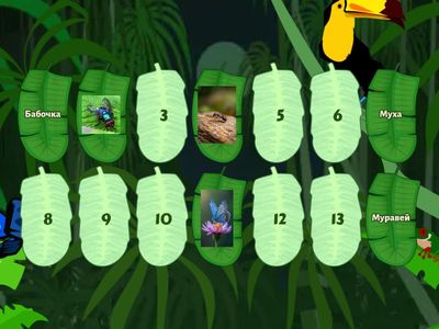 Изучаем насекомых 