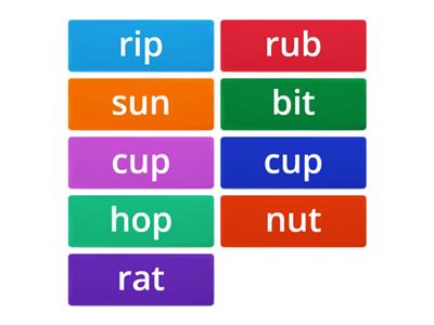 Phonetic Conneciton Unit13 CVC Words