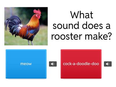 Animal Sounds Match