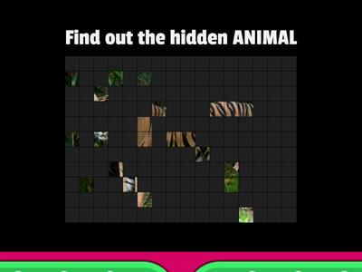 FIND OUT THE HIDDEN ANIMAL