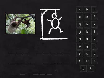 3.2 Hangman sentence (sloth)