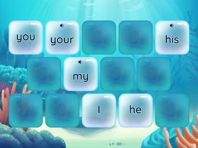 Possessive adjectives