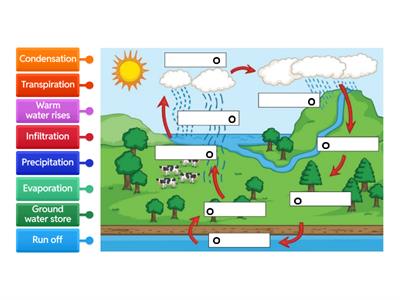 Water Cycle 