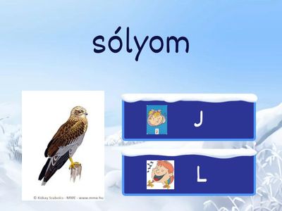 L-J hangok auditív differenciálása