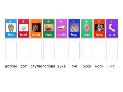 Англійська мова 3 клас. Частини тіла