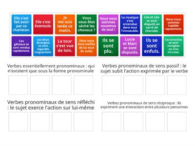 Classe les différents verbes pronominaux