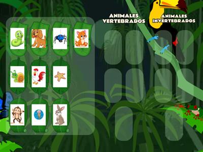 ANIMALES VERTEBRADOS E INVERTEBRADOS 