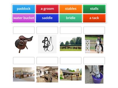 Horse riding 