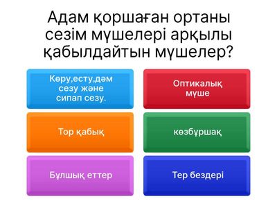 Көру мүшесінің құрлысы мен гигиенасы