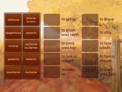  Reflexive Verbs (Daily Routine)