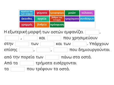 Μορφολογικά χαρακτηριστικά οστών