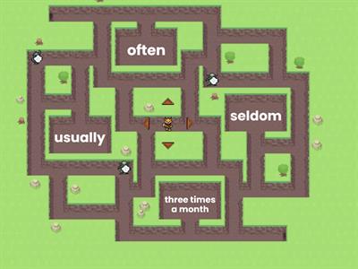  Adverbs of Frequency +