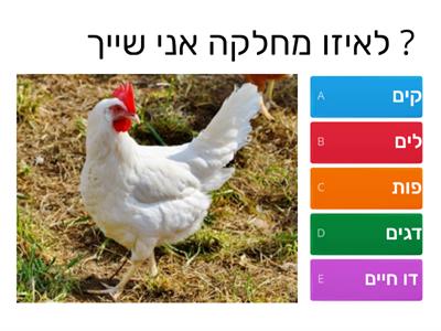 מחלקות בעלי חיים