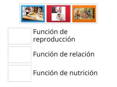 3 Prim. FUNCIONES VITALES