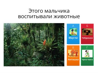 Викторина (автоматизация звука Р)