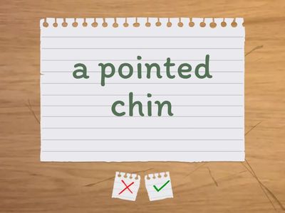 Внешний вид