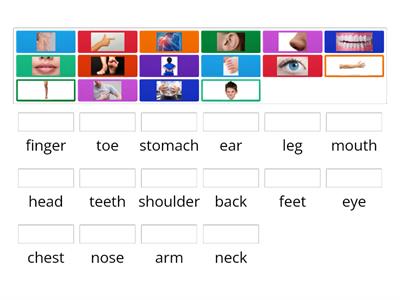 PARTS OF THE BODY