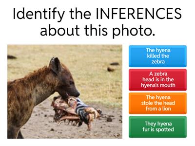 Observation vs. Inference