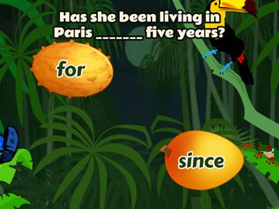 Choose the correct answer.