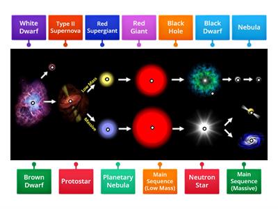 Star Life Cycle