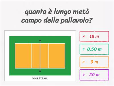 PALLAVOLO