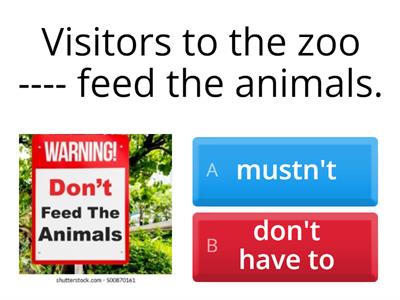 must / have to ( + / -)