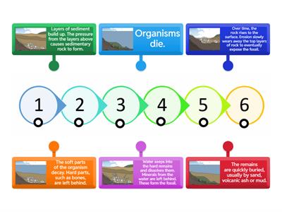 Fossil formation with words