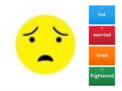 Feelings