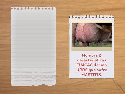 ACTIVACIÓN DE CONOCIMIENTOS PREVIOS