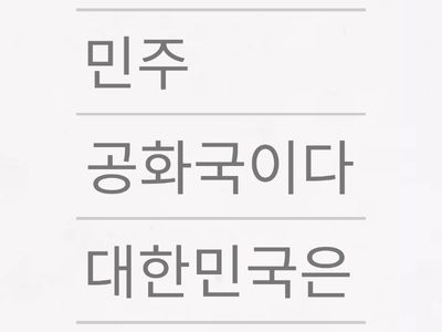대한민국헌법